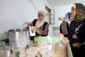 Palestina_cibo_Preparazionedelformaggio_2007_AlbertoConti_OxfamItalia Preparazione del formaggio, Palestina. Credits Alberto Conti/OxfamItalia