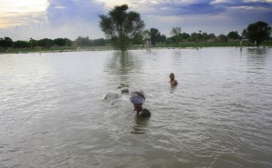 La gente porta in salvo il bestiame, Koth mithan, Provincia di Sindh, Pakistan. Credits: OxfamGB