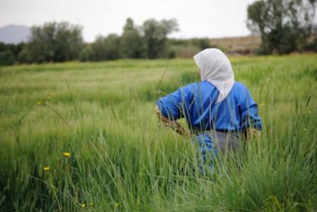 Donna nel campo. Credits: Danilo Cernicchiaro/OxfamItalia
