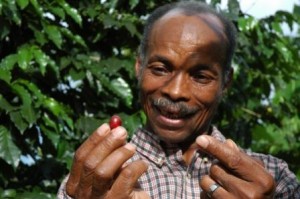Rafforziamo la produzione e il ruolo dei produttori di caffè. Repubblica Dominicana. Credits: DemostenesUscamaytaAyar/OxfamItalia Rafforziamo la produzione e il ruolo dei produttori di caffè. Repubblica Dominicana. Credits: DemostenesUscamaytaAyar/OxfamItalia
