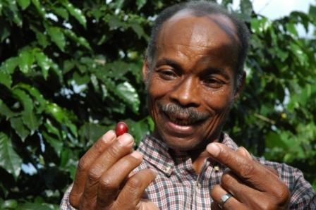 Rafforziamo la produzione e il ruolo dei produttori di caffè. Repubblica Dominicana. Credits: DemostenesUscamaytaAyar/OxfamItalia Rafforziamo la produzione e il ruolo dei produttori di caffè. Repubblica Dominicana. Credits: DemostenesUscamaytaAyar/OxfamItalia