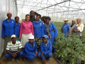 Thembakazi e gli altri membri della cooperativa nella serra di pomodori. Credits: Sibillla Filippi/OxfamItalia