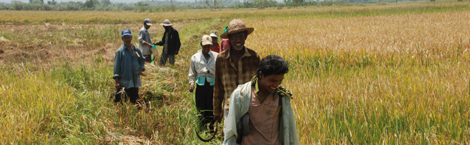 C_Banner_606x206 Sri Lanka