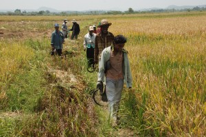 In Sri Lanka Oxfam Italia sostiene 2000 contadini. Oxfam Italia