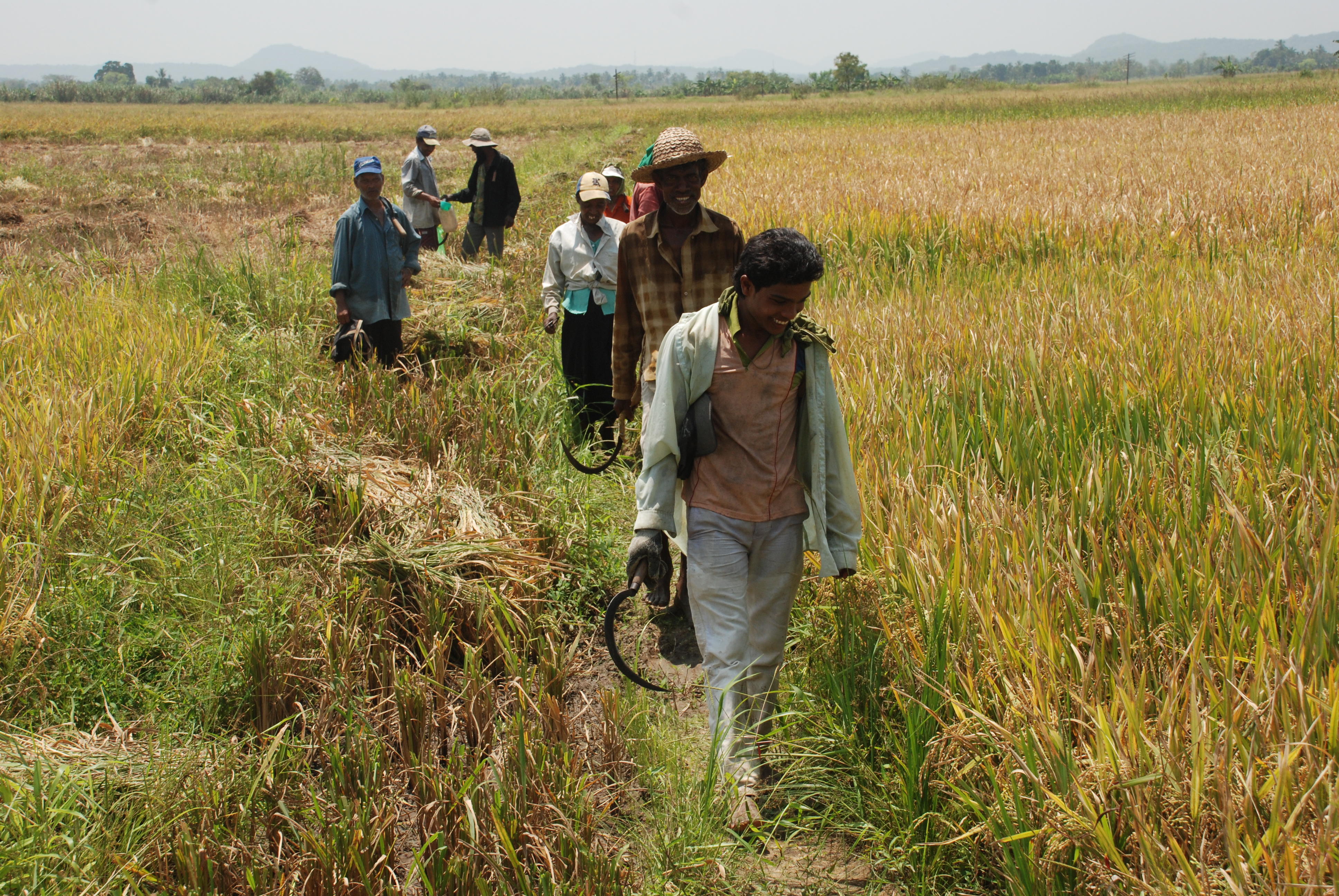 In Sri Lanka Oxfam Italia sostiene 2000 contadini. Oxfam Italia