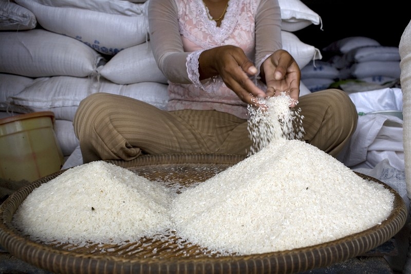 Cambogia_agricoltura_volatilità_2008_crediti:Abbie Trayler-Smith/Oxfam Il costo del riso ha raggiunto un picco in Cambogia nel 2008