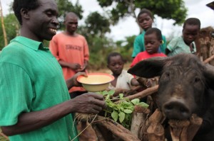 Erinemo con i suoi maialini, fonte di ricchezza. Credits: Abbie Trayler-Smith/Oxfam