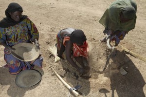 Ciad. Aramla, Fatima e Kartouma scavano nel formicaio alla ricerca di cereali preziosi per la zuppa. Credits: Andy Hall