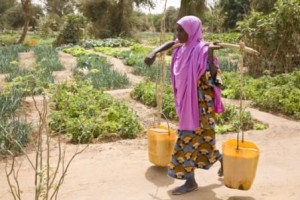 Niger. Mariama innaffia il suo orto, creato grazie a Oxfam, che le permetterà di resistere fino alle piogge. Credits: Oxfam