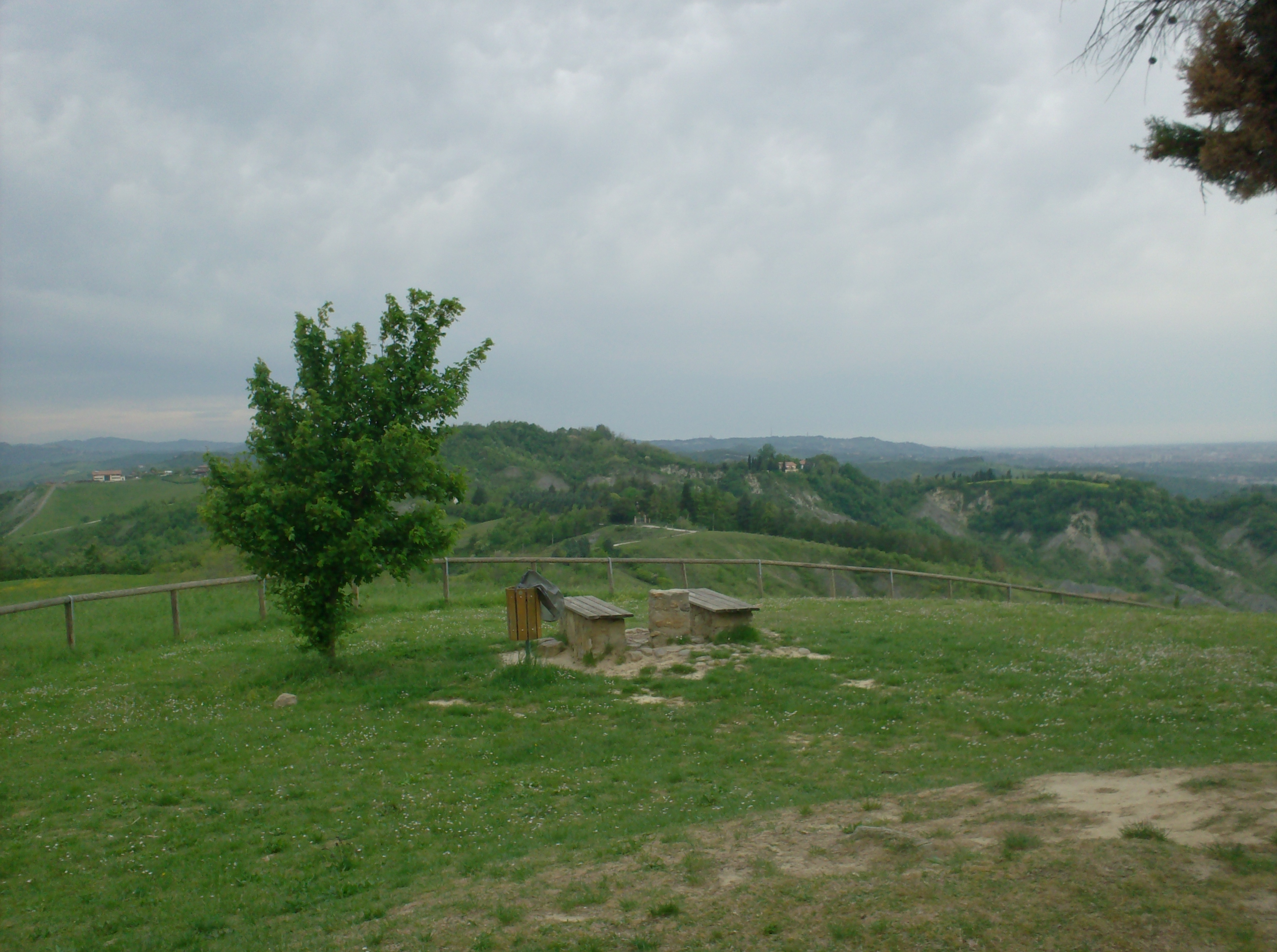 Irene_BOlogna ColtivATTRICE