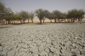 Chad, la terra è così secca che non vi cresce ormai nulla. Credits: Andy Hall