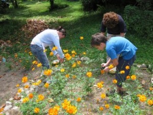 Tra le tante attività, i bambini si prendono cura del giardino Tra le tante attività, i bambini si prendono cura del giardino