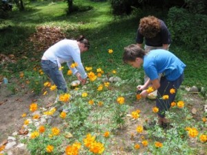 Tra le tante attività, i bambini si prendono cura del giardino