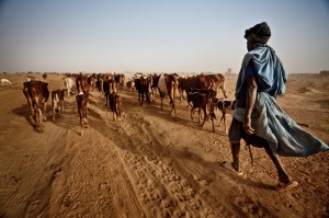 Mauritania. Dja Abdullah ha camminato 300 km in cerca di pascolo per le sue bestie. Credits: Pablo Tosco/Intermon Oxfam
