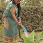 Tanzania, Eline