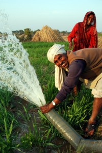 Sviluppo Agricolo in India
