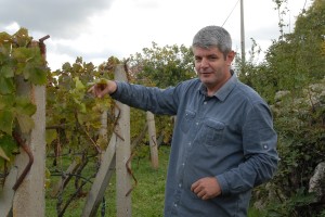 A Terra Madre l’Associazione Assapora l’Erzegovina ha presentato quest’anno per la prima volta i particolari vini autoctoni della regione dell’Erzegovina, la žilavka (il bianco), la blatina e il vranac (rossi) A Terra Madre l’Associazione Assapora l’Erzegovina ha presentato quest’anno per la prima volta i particolari vini autoctoni della regione dell’Erzegovina, la žilavka (il bianco), la blatina e il vranac (rossi)
