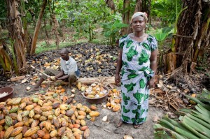 Etchi Avla con uno dei lavoratori che l'aiutano a raccogliere il cacao nella sua fattoria e Botende, Costa d'Avorio.