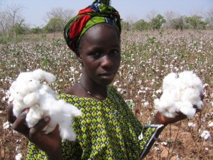 Mali, raccolta del cotone/Helen Palmer Oxfam
