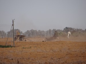 Lavoro nei campi, località Khuza’a (Striscia di Gaza) - Credits: Ludovica Socci/Oxfam Italia Lavoro nei campi, località Khuza’a (Striscia di Gaza) - Credits: Ludovica Socci/Oxfam Italia