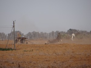 Lavoro nei campi, località Khuza’a (Striscia di Gaza) - Credits: Ludovica Socci/Oxfam Italia