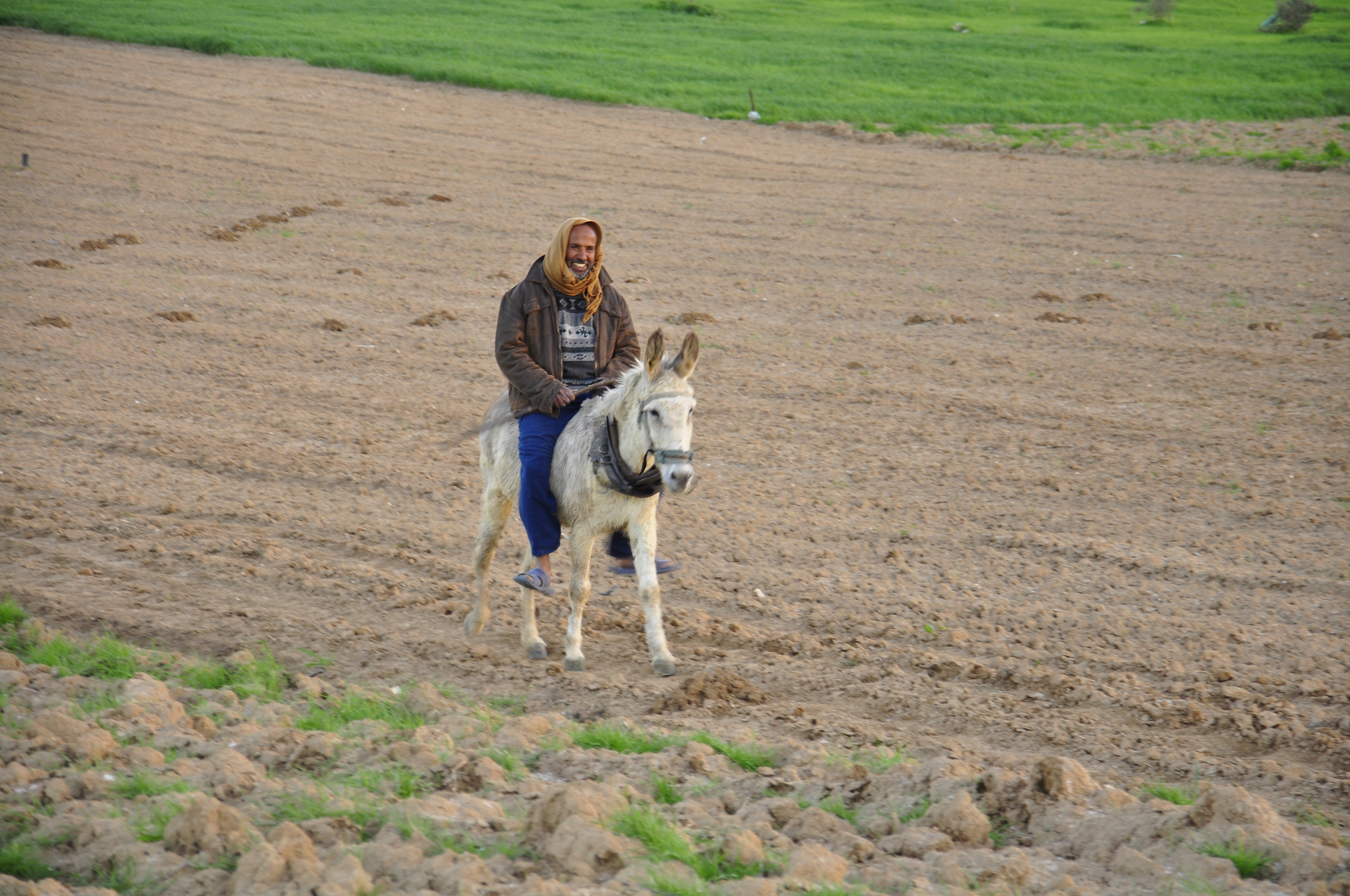 Ismail Tarabeen_Credits: Nabil Al Qattaa Ismail Tarabeen_Credits: Nabil Al Qattaa