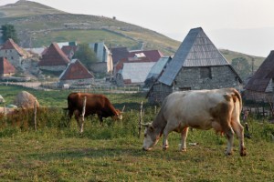 Bosnia and Herzegovina, Morning in Lukomir village