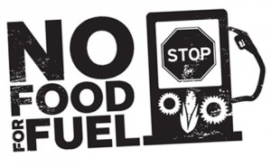 No Food For Fuel Firma la petizione su Change.org rivolta a Europarlamento e Governo italiano!