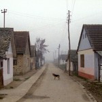 Una scena di Karpotter Una scena di Karpotter