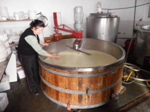 Albania, Drande producind cheese in her dairy