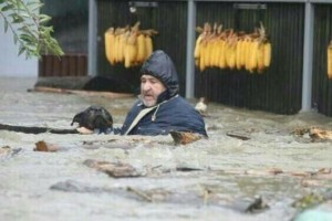 Bosnia, victim of the flooding