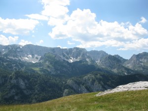 Dinaridi, Albania