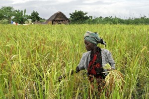 Tanzania, uno dei paesi in cui Oxfam lavora oggetto del reportage di Beatrice Masini