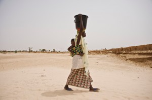 Nell’Africa sub-sahariana una persona su quattro soffre ancora di denutrizione