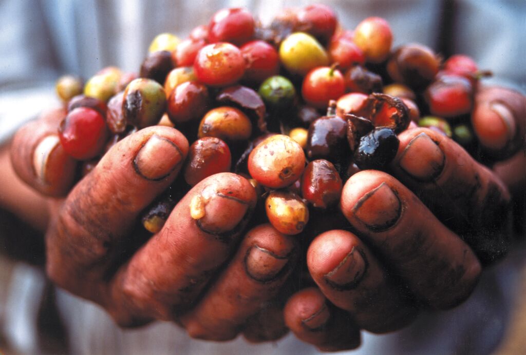 International Coffee Day