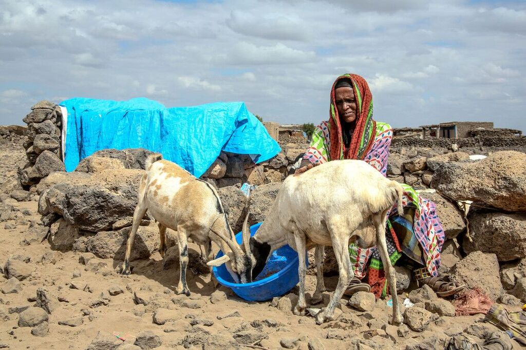 Crisi di siccità in Etiopia