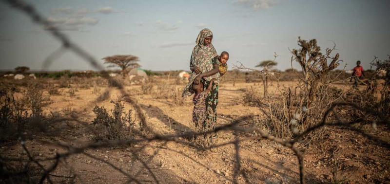 Oltre 52 milioni di persone in Africa rischiano ora di morire di fame a causa dei cambiamenti climatici