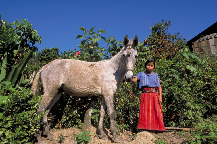 Nella comunità di Ana Pacheco, in Guatemala, Oxfam lavora per recuperare la terra dei campesinos negoziando con i proprietari e il governo