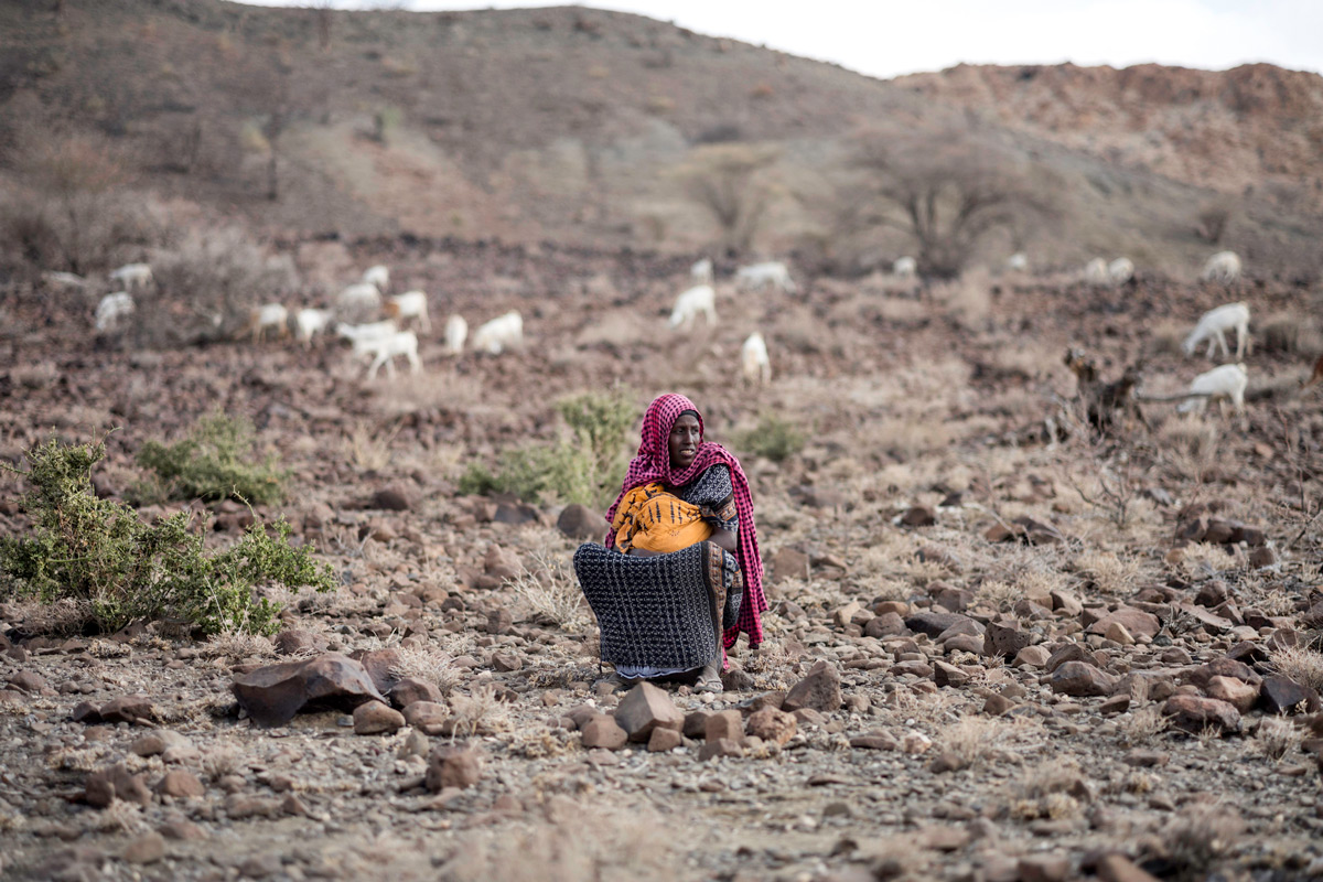In Etiopia più di 8 milioni di persone soffrono la fame