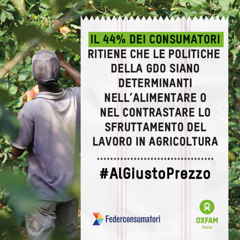 Il 44% dei consumatori ritiene che le politiche della GDO siano determinanti nell’alimentare o nel contrastare lo sfruttamento del lavoro in agricoltura