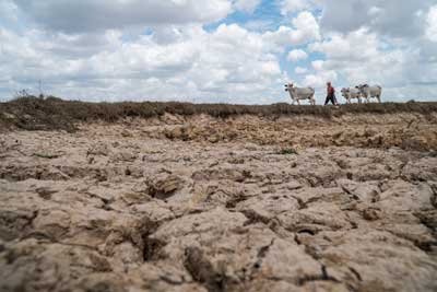 La siccità sta colpendo duramente l’Africa orientale e il Corno d’Africa