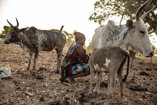 In Burkina Faso quasi 2 milioni di persone senz’acqua