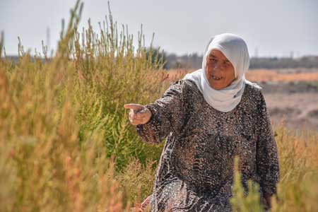 Fatouma, 65 anni, Arran, Aleppo - Photo Credit: Islam Mardini