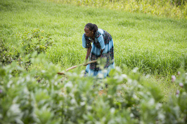 Zimam Girmay, agricoltrice, Etiopia