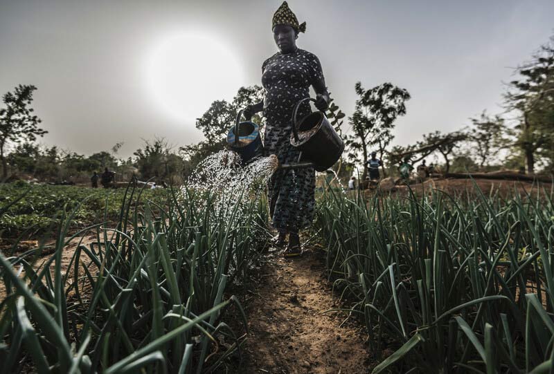 In Burkina Faso aiutiamo le donne agricoltrici nel gestire gli effetti del cambiamento climatico