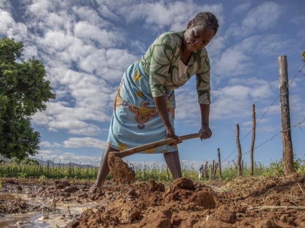 Sarah ha imparato nuove tecniche di irrigazione e gestione del'acqua