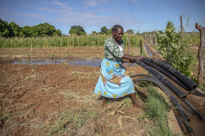 Sarah, lavora nei campi in Zimbabwe, lotta contro i cambiamenti climatici