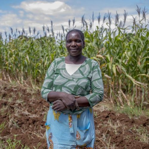 Sarah, in Zimbabwe, lotta contro i cambiamenti climatici attraverso il miglioramento delle infrastrutture di irrigazione e la gestione delle acque