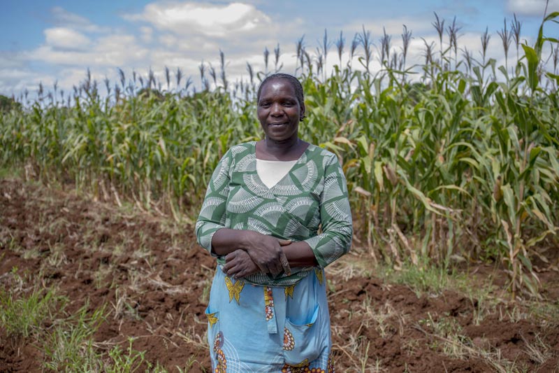 Sarah, in Zimbabwe, lotta contro i cambiamenti climatici attraverso il miglioramento delle infrastrutture di irrigazione e la gestione delle acque