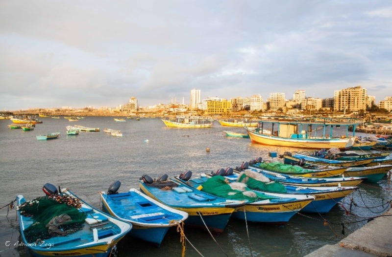 Veduta di Gaza dal Porto